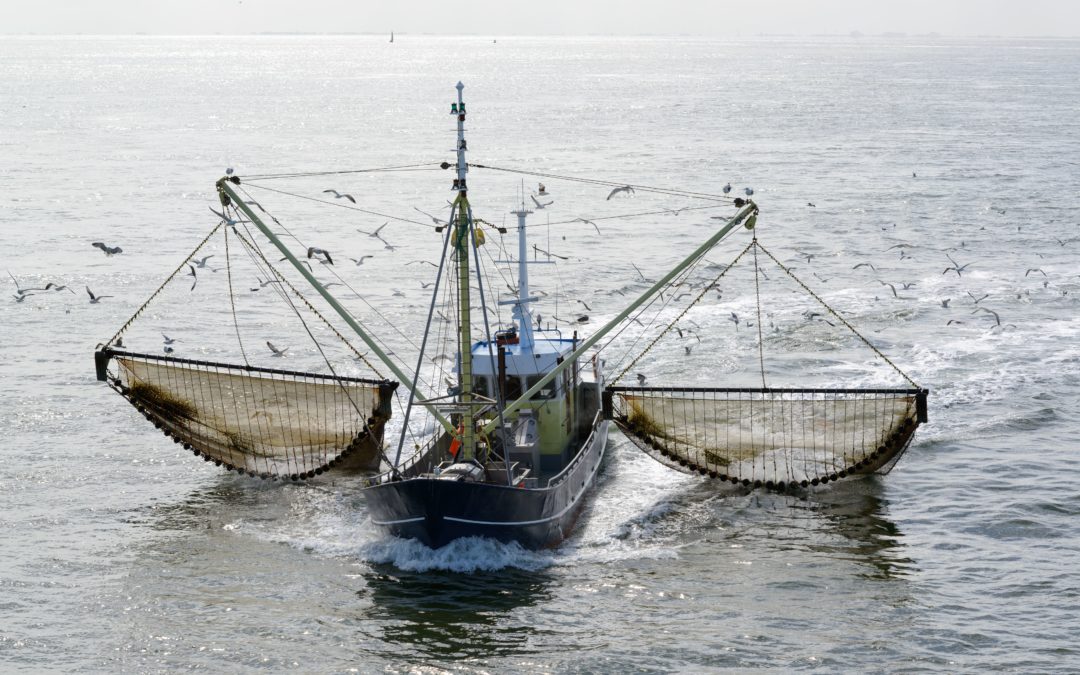 Pesca de altura
